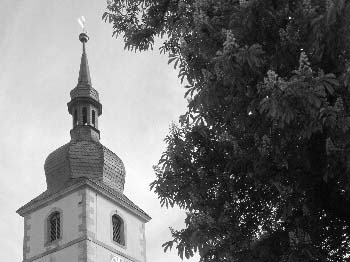 Fördervereins der St. Gotthardt-Kirche Erfurt-Marbach - Marbscher Bote-3